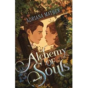 Alchemy of Souls