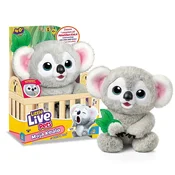 slomart Interaktivna maskota Little Live Pets - moja ljubka koala Kiki