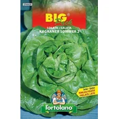 SOLATA ESTIVA DI KAGRAN VRTNINE BIG PACK 20gr