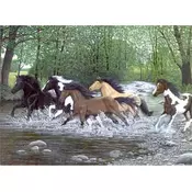 Royal & Langnickel Slikanje po številkah Divji konji