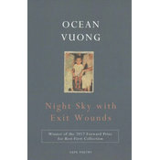 Night Sky with Exit Wounds