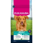 Eukanuba Premium Nutrition Adult Large & Giant Breed janjetina i riža - 12 kg