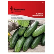 Seme kumare marketmore