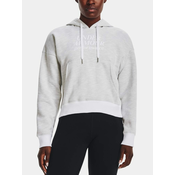 Under Armour Pulover Essential Script Hoodie-WHT S