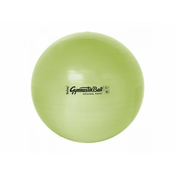 Gimnastična žoga BioBased 53 cm