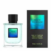 David Beckham True Instinct - Muška parfemska voda 75 ml