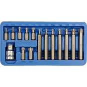 shumee KOMPLET BITOV TORX T20-T55, 15 DELNI - W-66580