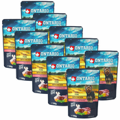 Hrana v vrečki ONTARIO DOG Pork with Chicken in broth 10x100 g