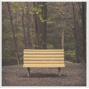 Streetlight Manifesto - The Hands That Thieve (Reissue) (Clear Coloured) (LP)