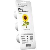 Click and Grow Mini sončnice, kapsule s semeni in substratom 3 kosi