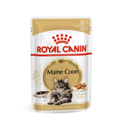 Royal Canin Maine Coon Adult - Maine Coon odrasla mačka mokra hrana 12 x 85 g