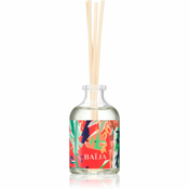 BAIJA Tangerine Fizz aroma difuzor s polnilom 50 ml