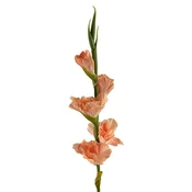Mondex Umetni gladiolus gumirana Viridis Mieczyk 85cm zelena 1kos, (5000301155)