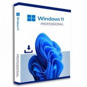 Microsoft Windows Pro 11 FPP slovenski, USB