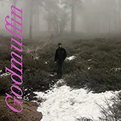 Mike Viola - Godmuffin (LP)