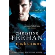 Dark Storm