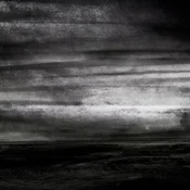 Stray Dogs - Wasteland (LP)
