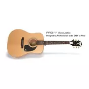 EPIPHONE akustična kitara PRO-1 NA