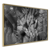 Poster - Strong Roots 45x30