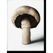 The Gourmands Mushroom. A Collection of Stories & Recipes