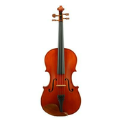 Viola Cantabile Sielam – različne velikosti (mali modeli)