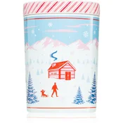 DW Home Scene & Stripes Peppermint Bark dišeča sveča 431 g