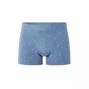Modre boksarice Celio Niboflamin