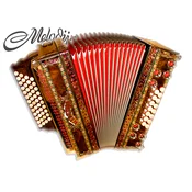 MELODIJA diatonična hamonika (38cm, 4-vrstna)