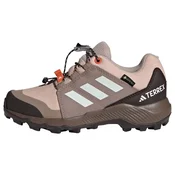 ADIDAS TERREX Nizki čevelj rjava/siva/črna