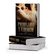 Prohujalo s vihorom