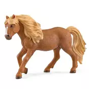 Islandski poni pastuv 13943