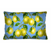 Bertoni Home Unisexs Rectangular Pillow Lemons