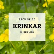 Bachove kapljice 20, Krinkar - Mimulus, 10 ml