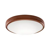 LED plafonsko svetlo 1xLED/24W/230V