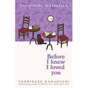 Before I Knew I Loved You