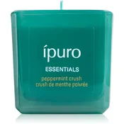 ípuro Essentials Season of Treats Peppermint Crush dišeča sveča 125 g