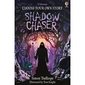 Shadow Chaser