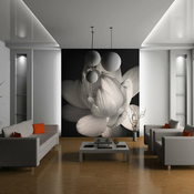 Foto tapeta - Lotus flower 200x154