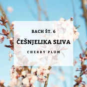 Bachove kapljice 6, Češnjelika sliva - Cherry Plum, 10 ml
