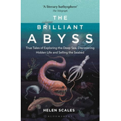 Brilliant Abyss