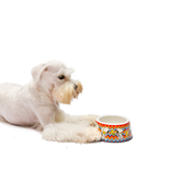 Snoopy Cinija Mosc melamin M 650ml