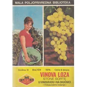 VINOVA LOZA - stone sorte u vinogradu i na okucnici
