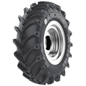 Ascenso TDB 120 ( 8.3 -24 105A8 8PR TT )