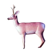 Eleven Target 3D Deer Dark with Horns