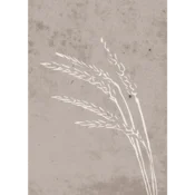 Venture Design Poster Seeds 50x70 cm Bež
