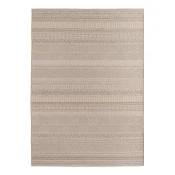 Bež notranja in zunanja preproga 80x150 cm Desert 1303 – Ayyildiz Carpets
