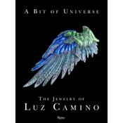 Bit of Universe