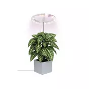 LED svetilka za rastline, polni spekter, 39 LED diod, notranja, časovnik, zatemnljiva