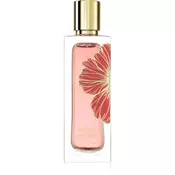 Paris Corner Ibisco Nirvana parfumski ekstrakt uniseks 65 ml