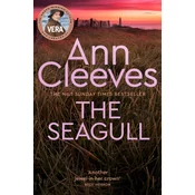 Seagull